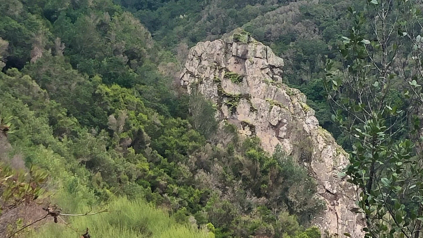 La Zarza – El Tablado – Santo Domingo de Garafía – 3