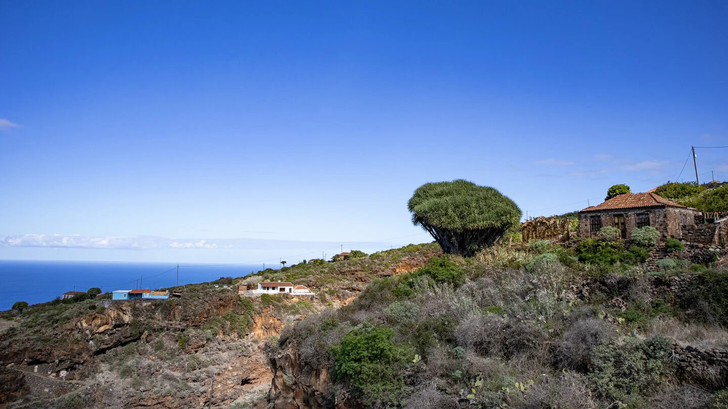 La Zarza – El Tablado – Santo Domingo de Garafía – 4