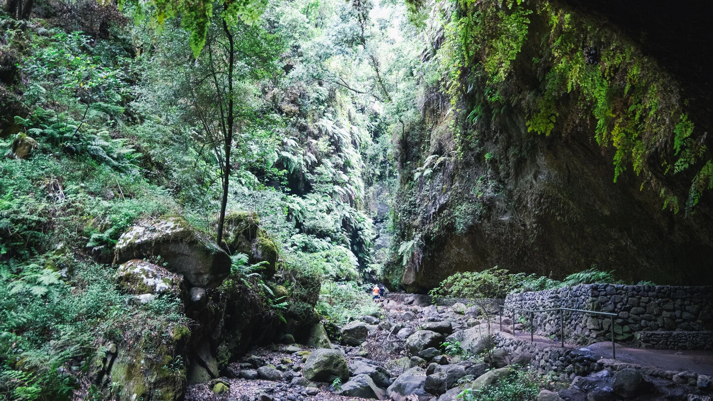 Naar Cascada de Los Tilos in Barranco del Agua – 5