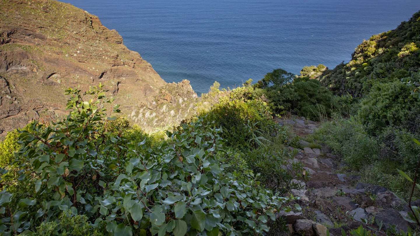 GR 130: Camino Real rund um La Palma, Santa Cruz de La Palma, La Palma