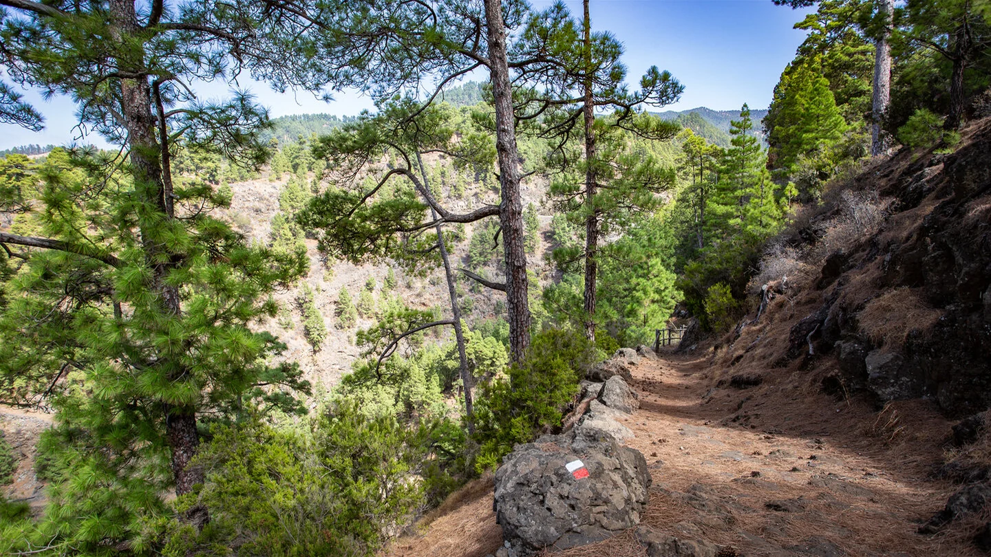GR 130: Camino Real rond La Palma – 3