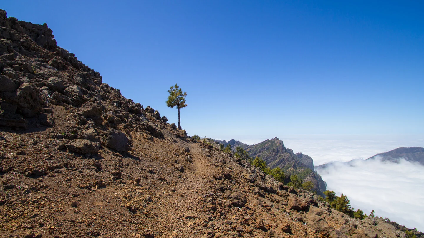 GR 131 El Bastón : Sur l’épine dorsale de La Palma – 3