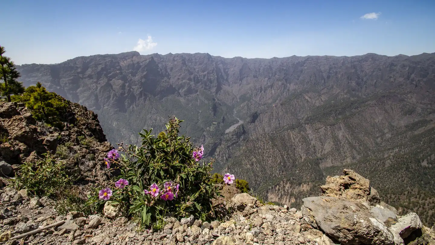 Randonnée de La Cumbrecita au Pico Bejenado – 5