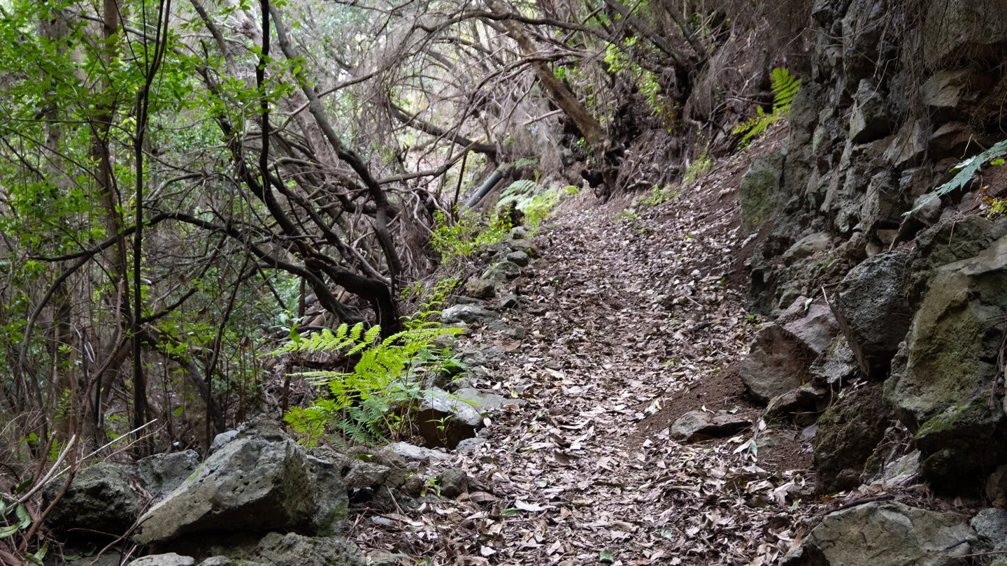 Roque del Faro – El Tablado – Gallegos – 5