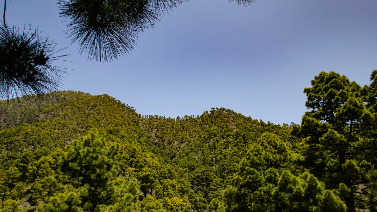 Pista de Valencia – Tamarahoya – Pico Bejenado – 3