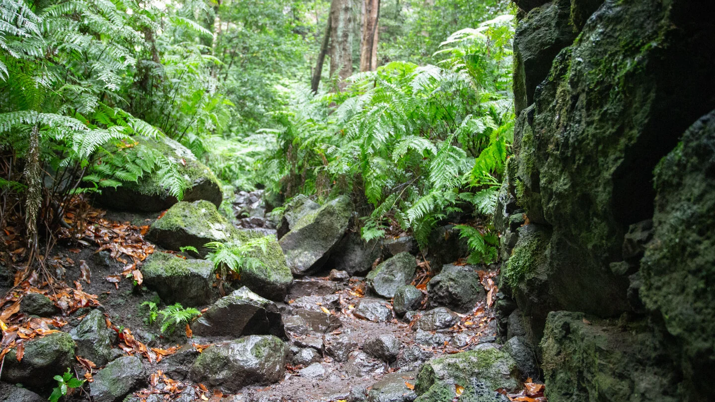 PR LP 5.1: La Galga to Cubo de la Galga – 4