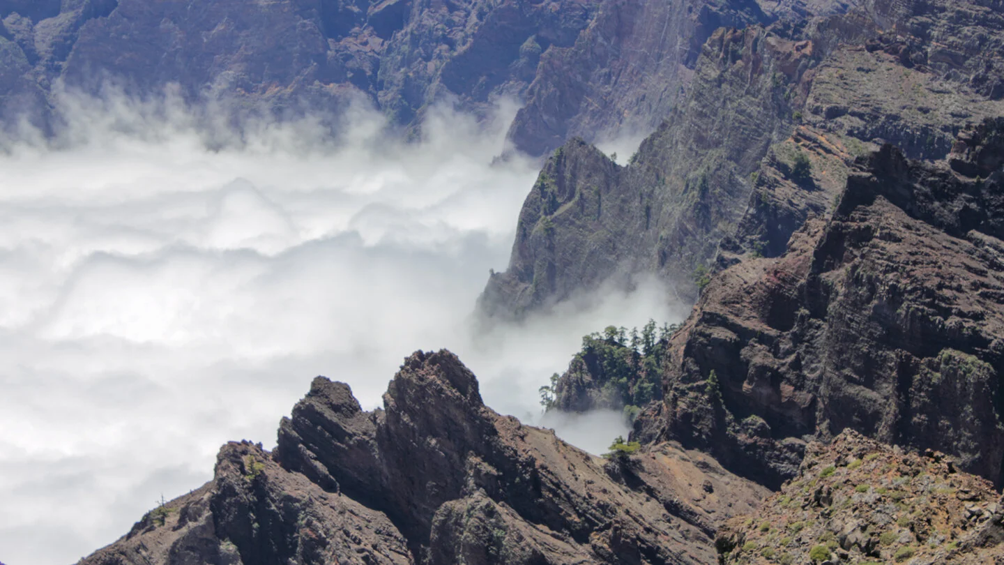 Rundwanderung Pico de la Nieve und Erita de los Guanches – 3