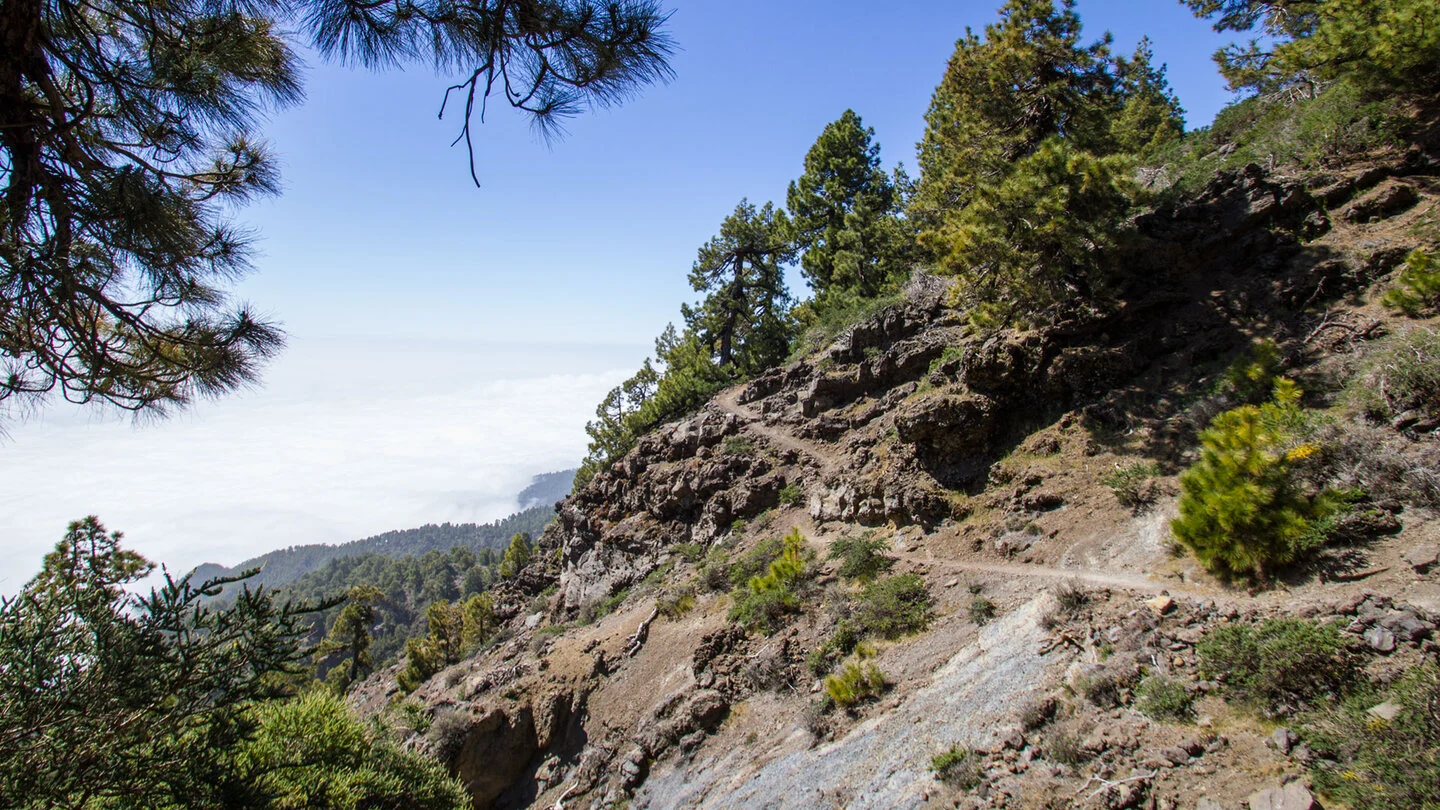 Rundwanderung Pico de la Nieve und Erita de los Guanches – 5