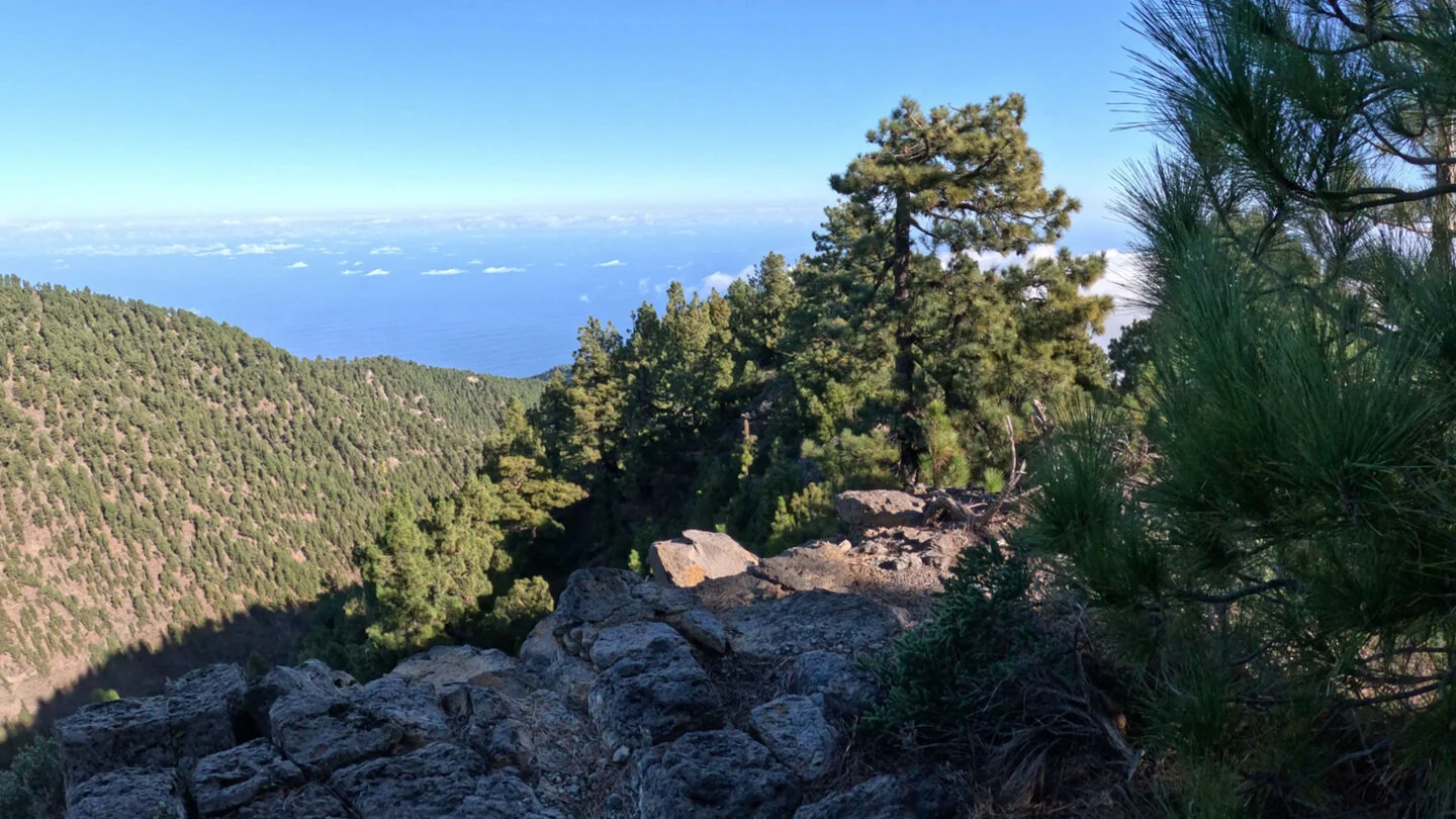 PR LP 7: van Los Sauces naar Pico de la Cruz