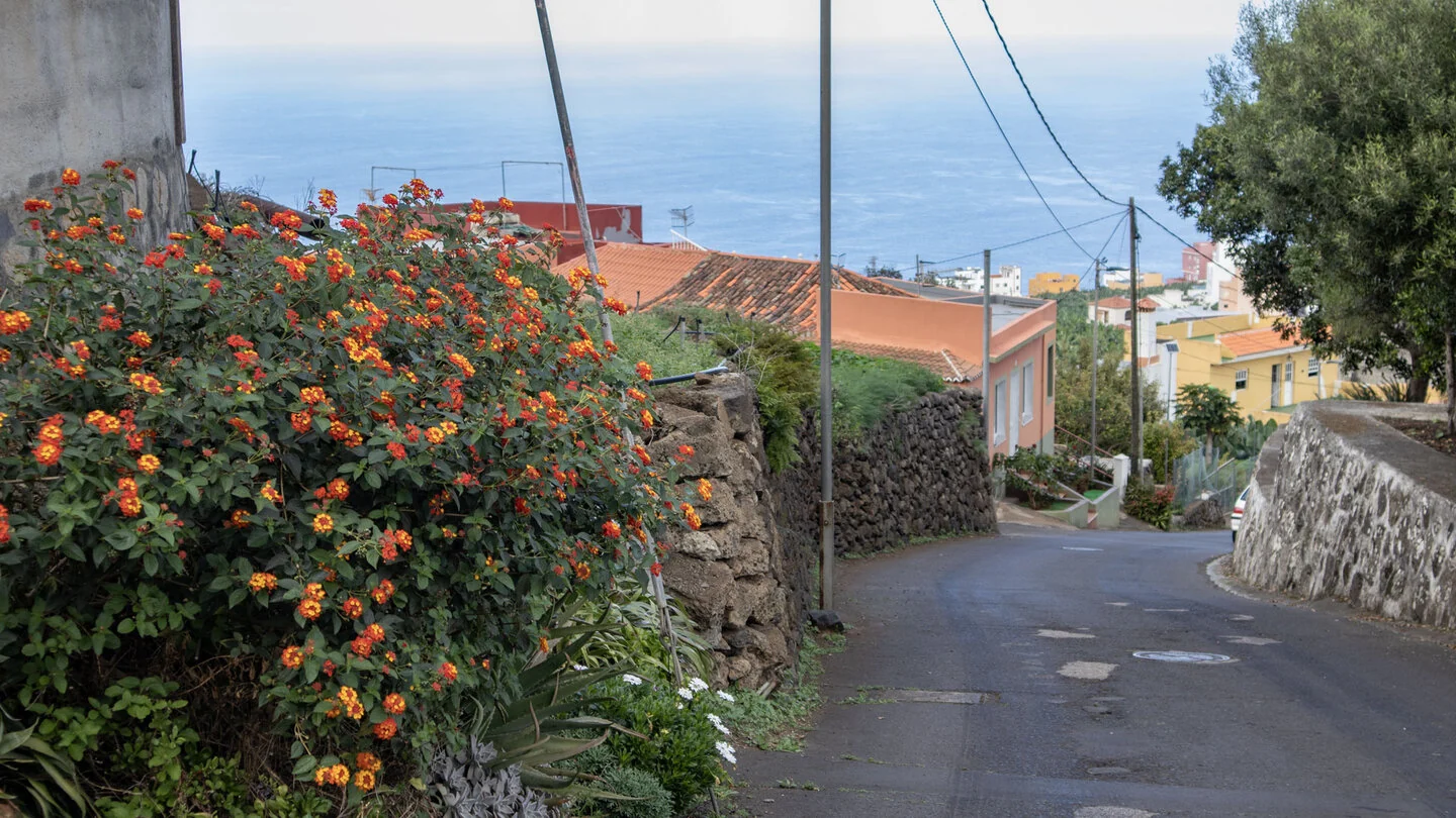 PR LP 7: Los Sauces to Pico de la Cruz – 3
