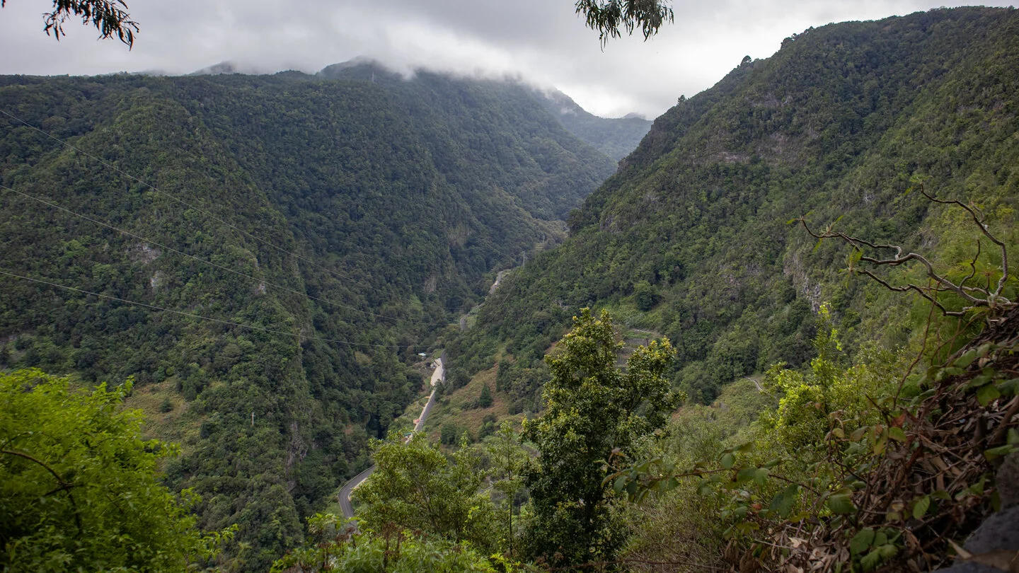 PR LP 7: Los Sauces to Pico de la Cruz – 4
